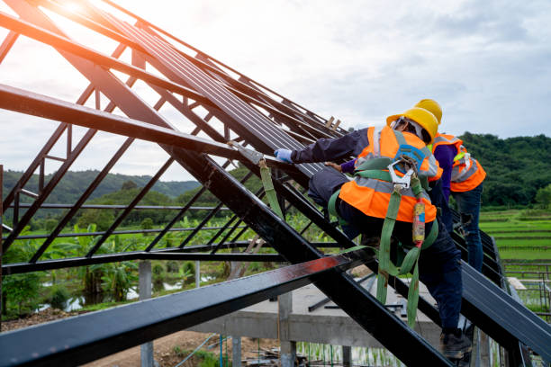 Best Roof Gutter Cleaning  in Orange, TX