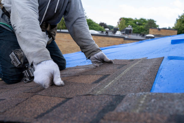 Professional Roofing Contractor in Orange, TX